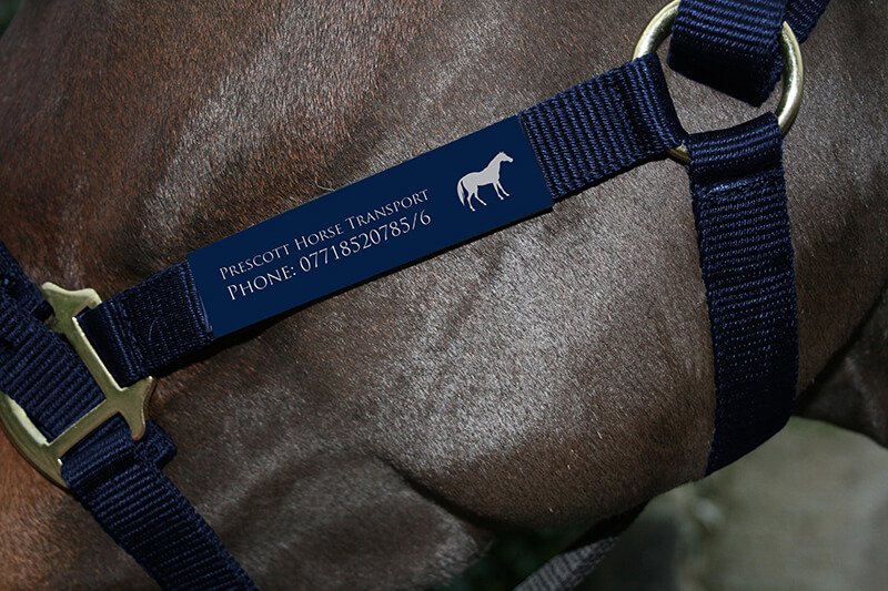 Close-up of a personalised label stitched onto a headcollar