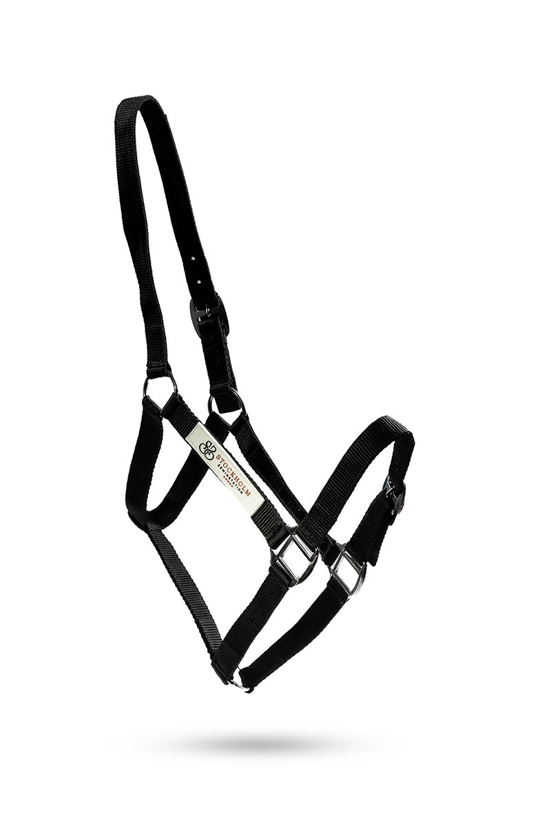 Personalised nylon headcollar — colour option 1