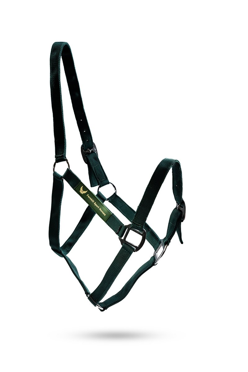 Personalised nylon headcollar — colour option 2