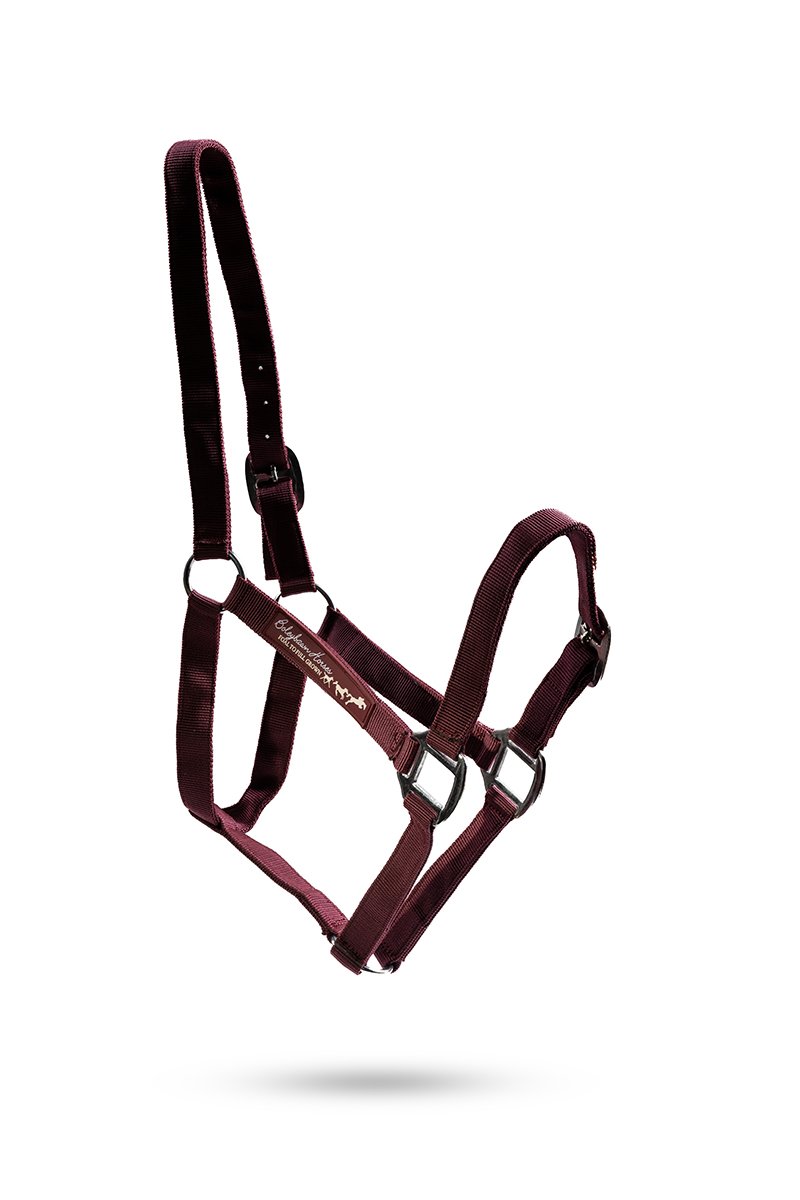 Personalised nylon headcollar — colour option 4