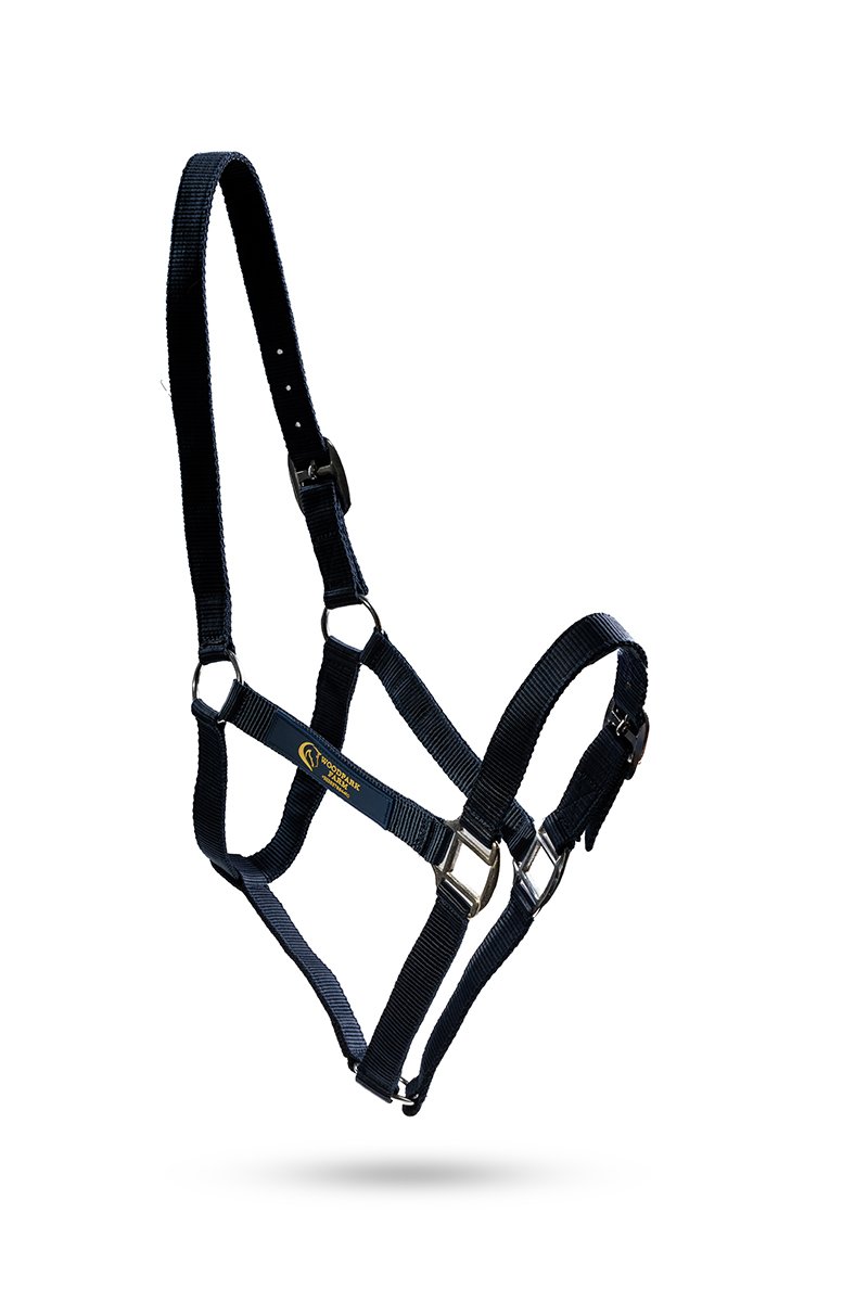 Personalised nylon headcollar — colour option 5