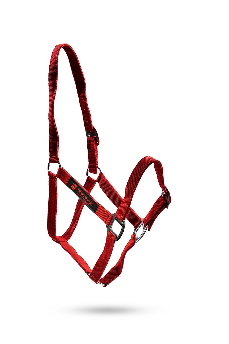 Personalised nylon headcollar — colour option 6